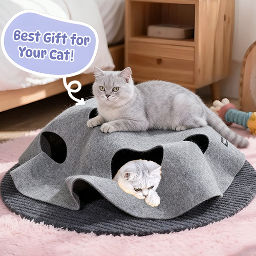 🎄Interactive Cat Activity Mat – The Purrfect Christmas Gift for Your Furry Friend!