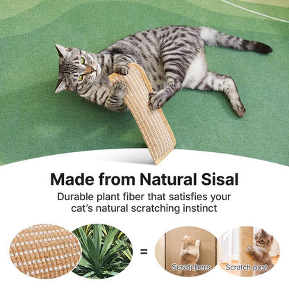 🐱Interactive Catnip Chew Toy