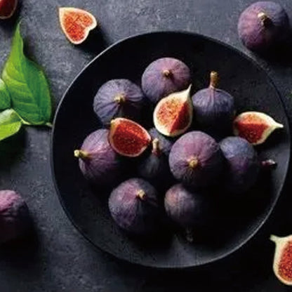 🏆65K+ SOLD!🌿Brown Turkey Fig Seeds – America's Favorite Fig for Patio & Container Gardening! Easy to Grow, Sweet Harvest.