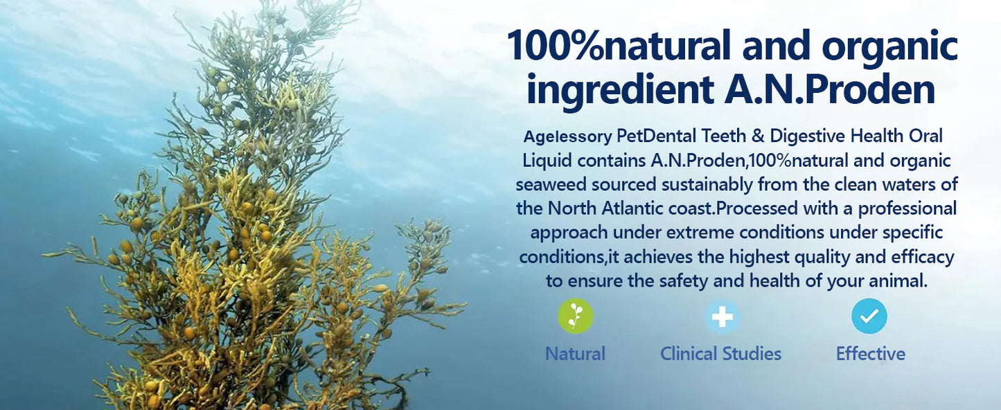 [𝐎𝐟𝐟𝐢𝐜𝐢𝐚𝐥 𝐒𝐭𝐨𝐫𝐞]👑👑 Agelessory® 𝐏𝐞𝐭 𝐃𝐞𝐧𝐭𝐚𝐥 & 𝐃𝐢𝐠𝐞𝐬𝐭𝐢𝐯𝐞 𝐇𝐞𝐚𝐥𝐭𝐡 𝐎𝐫𝐚𝐥 𝐋𝐢𝐪𝐮𝐢𝐝 – 𝐃𝐞𝐧𝐭𝐚𝐥 𝐜𝐥𝐞𝐚𝐧𝐢𝐧𝐠, 𝐟𝐫𝐞𝐬𝐡𝐞𝐫 𝐛𝐫𝐞𝐚𝐭𝐡, 𝐫𝐞𝐦𝐨𝐯𝐞𝐬 𝐭𝐚𝐫𝐭𝐚𝐫, 𝐬𝐮𝐩𝐩𝐨𝐫𝐭𝐬 𝐠𝐮𝐦 𝐫𝐞𝐠𝐞𝐧𝐞𝐫𝐚𝐭𝐢𝐨𝐧 (𝐟𝐨𝐫 𝐂𝐚𝐭𝐬 & 𝐃𝐨𝐠𝐬)