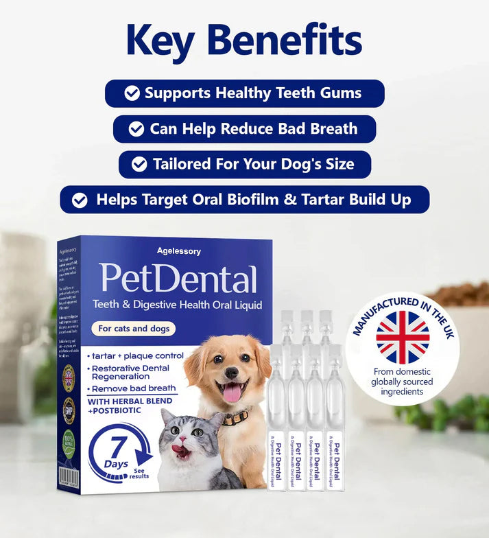 [𝐎𝐟𝐟𝐢𝐜𝐢𝐚𝐥 𝐒𝐭𝐨𝐫𝐞]👑👑 Agelessory® 𝐏𝐞𝐭 𝐃𝐞𝐧𝐭𝐚𝐥 & 𝐃𝐢𝐠𝐞𝐬𝐭𝐢𝐯𝐞 𝐇𝐞𝐚𝐥𝐭𝐡 𝐎𝐫𝐚𝐥 𝐋𝐢𝐪𝐮𝐢𝐝 – 𝐃𝐞𝐧𝐭𝐚𝐥 𝐜𝐥𝐞𝐚𝐧𝐢𝐧𝐠, 𝐟𝐫𝐞𝐬𝐡𝐞𝐫 𝐛𝐫𝐞𝐚𝐭𝐡, 𝐫𝐞𝐦𝐨𝐯𝐞𝐬 𝐭𝐚𝐫𝐭𝐚𝐫, 𝐬𝐮𝐩𝐩𝐨𝐫𝐭𝐬 𝐠𝐮𝐦 𝐫𝐞𝐠𝐞𝐧𝐞𝐫𝐚𝐭𝐢𝐨𝐧 (𝐟𝐨𝐫 𝐂𝐚𝐭𝐬 & 𝐃𝐨𝐠𝐬)