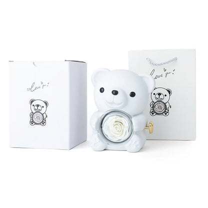 🧸 Teddy Bear with Real Preserved Rose & Necklace 🌹💝