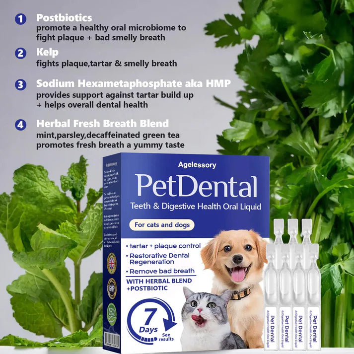 [𝐎𝐟𝐟𝐢𝐜𝐢𝐚𝐥 𝐒𝐭𝐨𝐫𝐞]👑👑 Agelessory® 𝐏𝐞𝐭 𝐃𝐞𝐧𝐭𝐚𝐥 & 𝐃𝐢𝐠𝐞𝐬𝐭𝐢𝐯𝐞 𝐇𝐞𝐚𝐥𝐭𝐡 𝐎𝐫𝐚𝐥 𝐋𝐢𝐪𝐮𝐢𝐝 – 𝐃𝐞𝐧𝐭𝐚𝐥 𝐜𝐥𝐞𝐚𝐧𝐢𝐧𝐠, 𝐟𝐫𝐞𝐬𝐡𝐞𝐫 𝐛𝐫𝐞𝐚𝐭𝐡, 𝐫𝐞𝐦𝐨𝐯𝐞𝐬 𝐭𝐚𝐫𝐭𝐚𝐫, 𝐬𝐮𝐩𝐩𝐨𝐫𝐭𝐬 𝐠𝐮𝐦 𝐫𝐞𝐠𝐞𝐧𝐞𝐫𝐚𝐭𝐢𝐨𝐧 (𝐟𝐨𝐫 𝐂𝐚𝐭𝐬 & 𝐃𝐨𝐠𝐬)