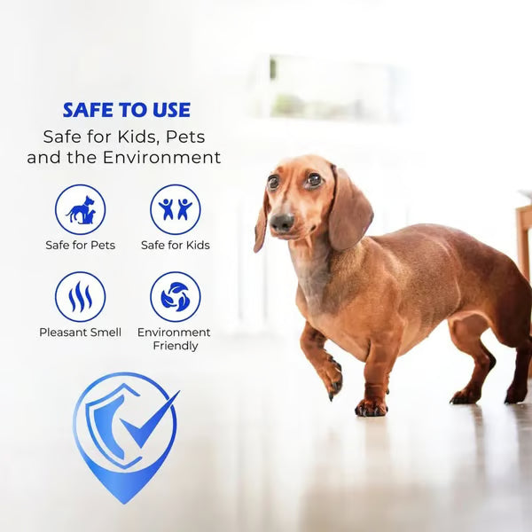 🔥Last Day 49% OFF - ✨🧴 Clean-llx Floor Restorer – Shine & Protect Instantly 🏠