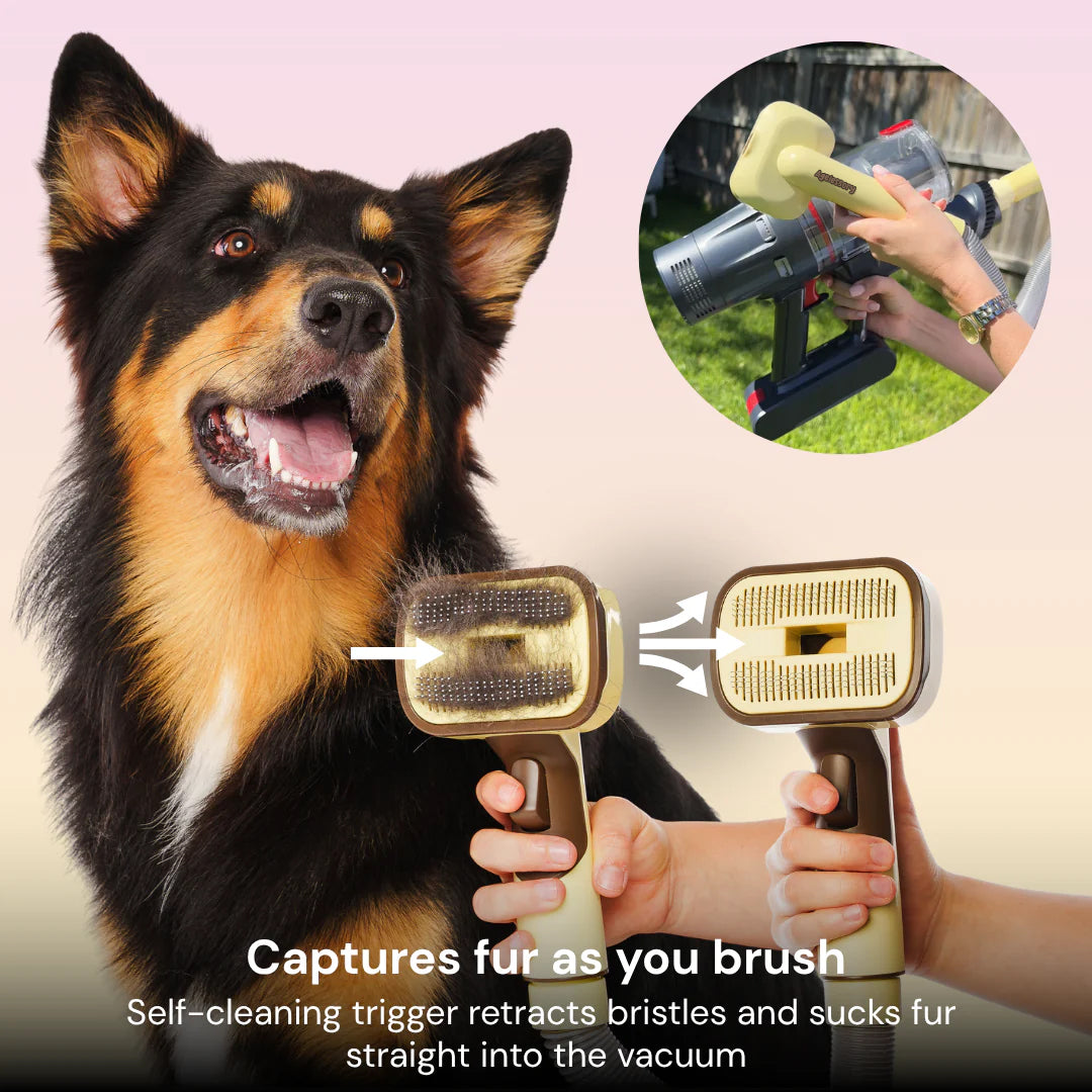 Agelessory™ 3-In-1 Vacuum Pet Brush