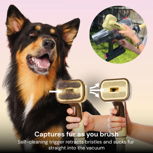 Agelessory™ 3-In-1 Vacuum Pet Brush