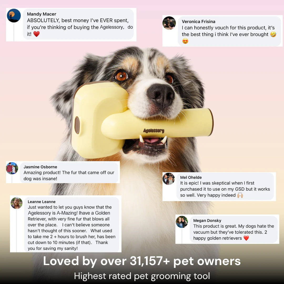 Agelessory™ 3-In-1 Vacuum Pet Brush