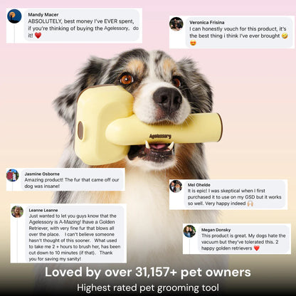 Agelessory™ 3-In-1 Vacuum Pet Brush