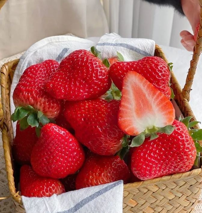 (New Harvest)🍓All-year-round Strawberry Seeds🌿Pre-Primed for High Germination (99% Germination)