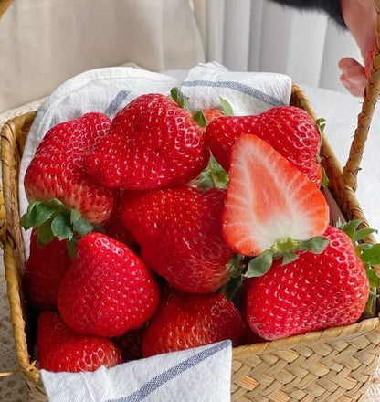 (New Harvest)🍓All-year-round Strawberry Seeds🌿Pre-Primed for High Germination (99% Germination)