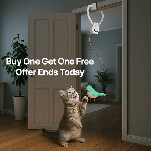 Solve Your Cat's Boredom in Seconds