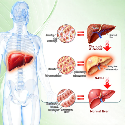 💖💖 AGELESSORY® 𝙈𝒐𝒓𝒊𝒏𝒈𝗮 · 𝗕𝗲𝗿𝗯𝐞𝐫𝐢𝐧𝙚 × 𝙉𝑨𝑫+ 𝟏𝟎-𝙞𝙣-𝟏 𝘼𝒅𝒗𝒂𝒏𝒄𝒆𝐝 𝐍𝐚𝐧𝙤 𝙈𝙞𝙘𝙧𝙤𝙣𝒆𝒆𝒅𝒍𝐞 𝐏𝐚𝐭𝙘𝙝(𝐉𝐮𝐬𝐭 𝐨𝐧𝐜𝐞 𝐚 𝐝𝐚𝐲, 𝐯𝐢𝐬𝐢𝐛𝐥𝐞 𝐜𝐡𝐚𝐧𝐠𝐞𝐬 𝐢𝐧 𝟕 𝐝𝐚𝐲𝐬） ✅ 𝐅𝐨𝐫 𝐨𝐛𝐞𝐬𝐢𝐭𝐲, 🅛🅞🅞🅢🅔 🅢🅚🅘🅝,𝐝𝐢𝐚𝐛𝐞𝐭𝐞𝐬, 𝐬𝐥𝐞𝐞𝐩 𝐚𝐩𝐧𝐞𝐚, 𝐣𝐨𝐢𝐧𝐭 𝐢𝐬𝐬𝐮𝐞𝐬, 𝐚𝐧𝐝 𝐦𝐨𝐫𝐞